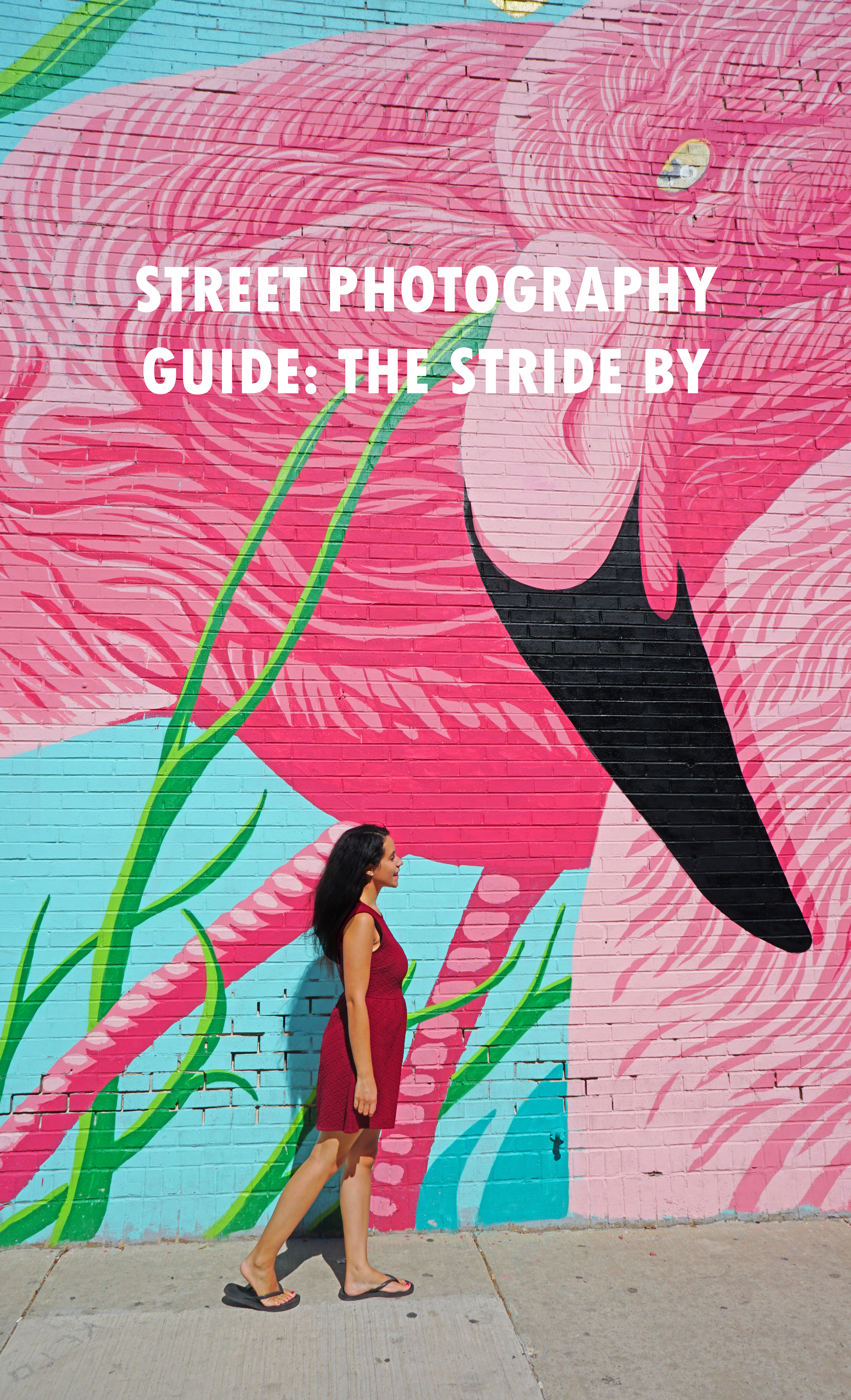 The Travel Women Guide to Street Photography Stride by Chicago Flamingo 