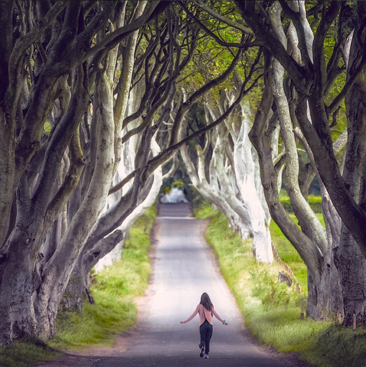 19. @storytravelers in The Dark Hedges, featured in Game of Thrones
