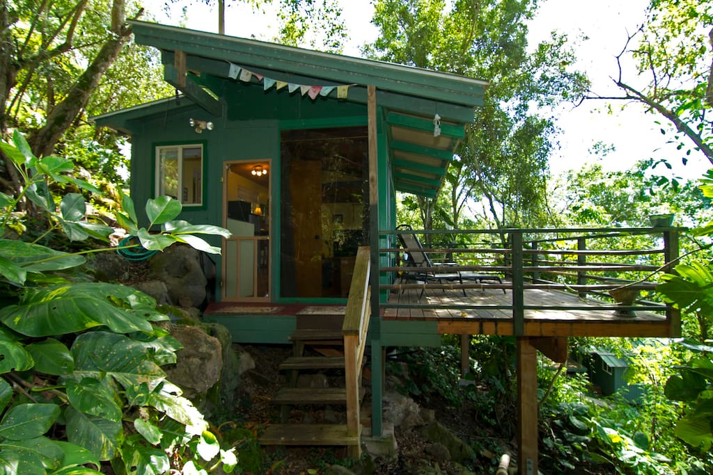 6. Sunset Beach Treehouse Bungalow, Haleiwa, Entire home, 4 guests: Perched high above the trees on the island of Oahu this treehouse has a view over one of the most famous surf spots on the North Shore. Experience beach lifewith the property’s surfboards, kitesurfing, windsurfing, standup-paddle and kayak. MORE INFO