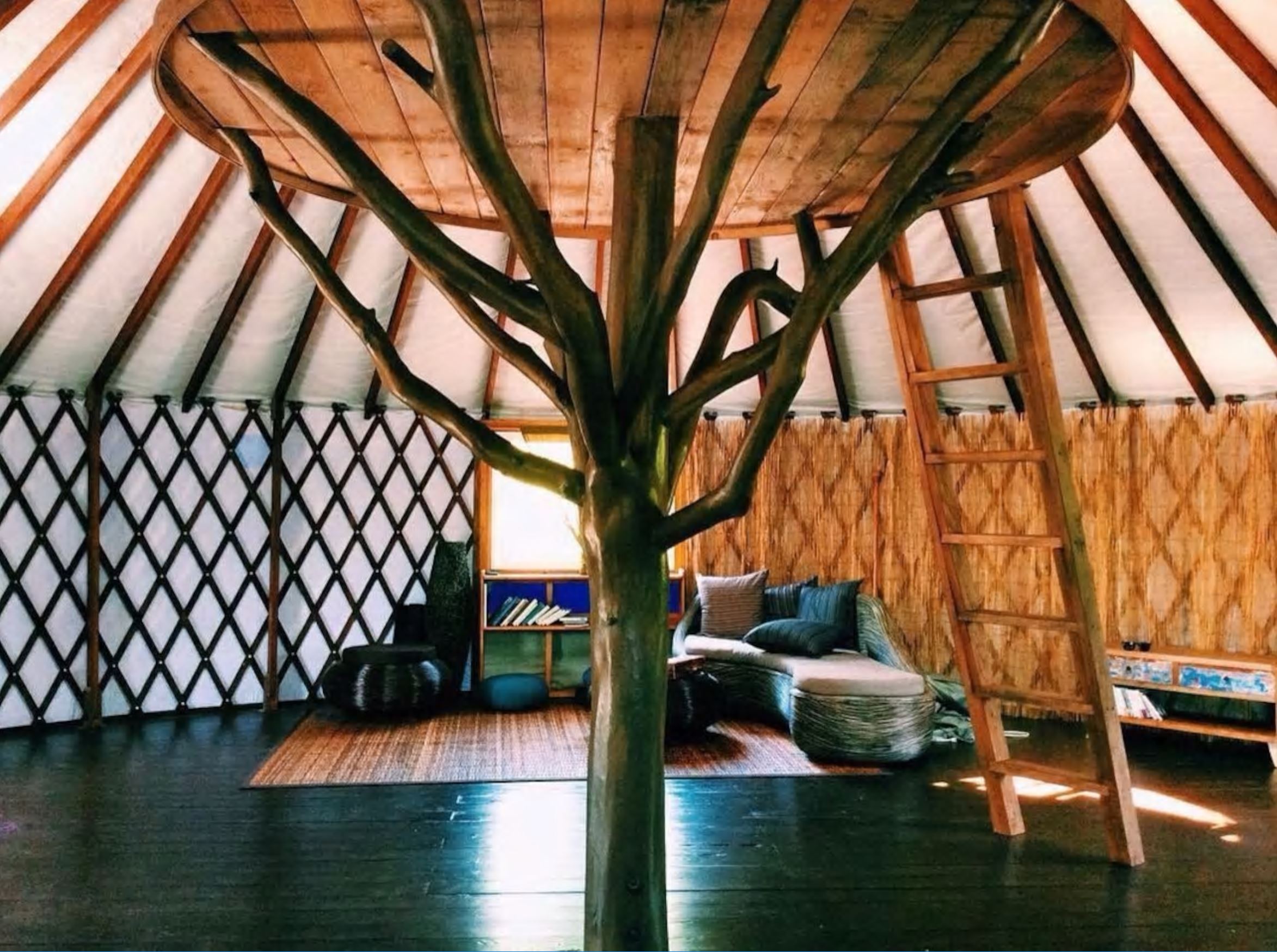  3. Mango Tree, Pahoa, entire home, 4 guests: This spacious yurt is and eco-friendly paradise in Puna jungle, Big Island. You may find Nala the cat lounging in the bed lofted in the center of the Yurt. MORE INFO