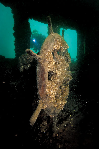 Mary Alice B wreck photo by Andy Morrison