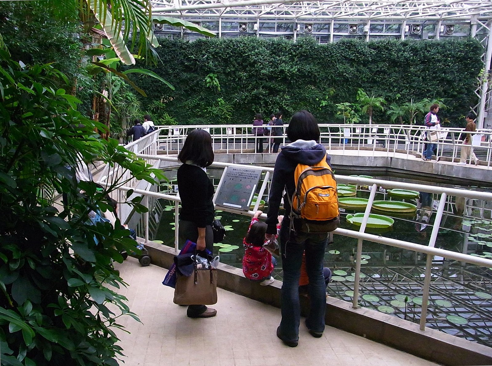 Jindai Botanical Garden Mitaka Travel Guide: A Quick Trip From Tokyo
