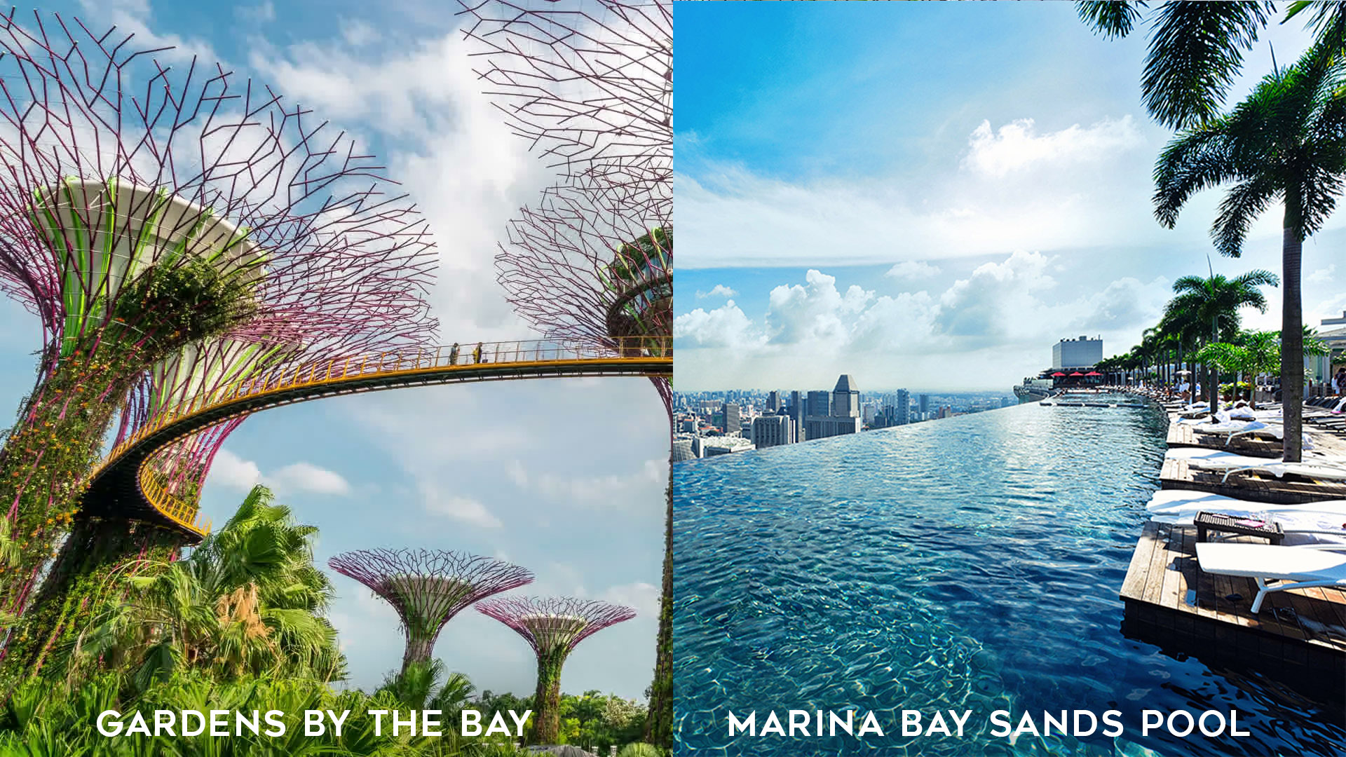 Singapore Gardens by the Bay and Marina Bay Sands Pool