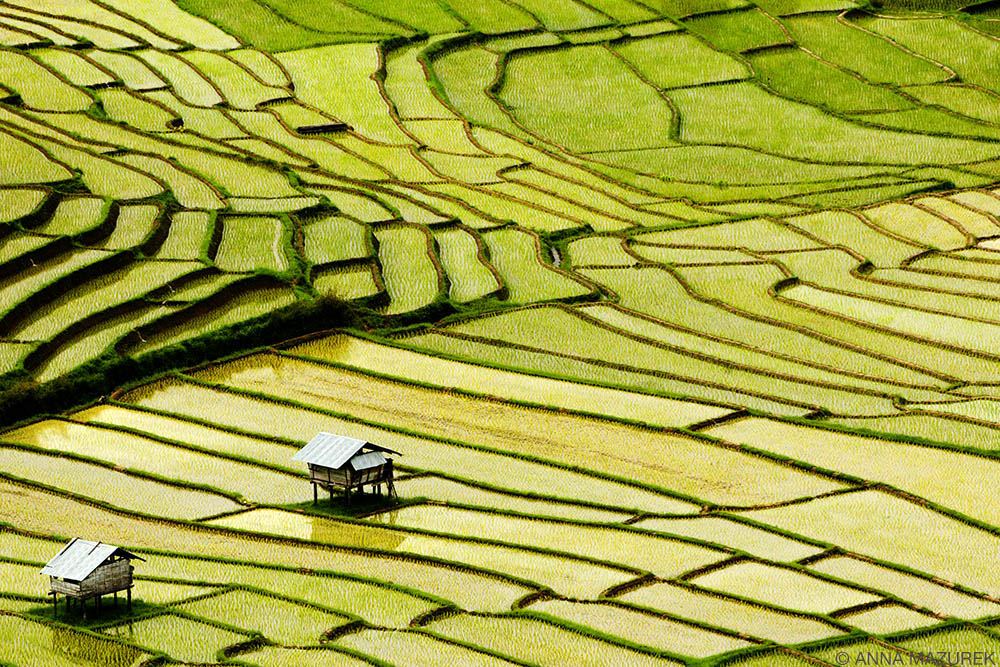 11 Budget Tips to Save Money for Travel RICEFIELDS_THAILAND