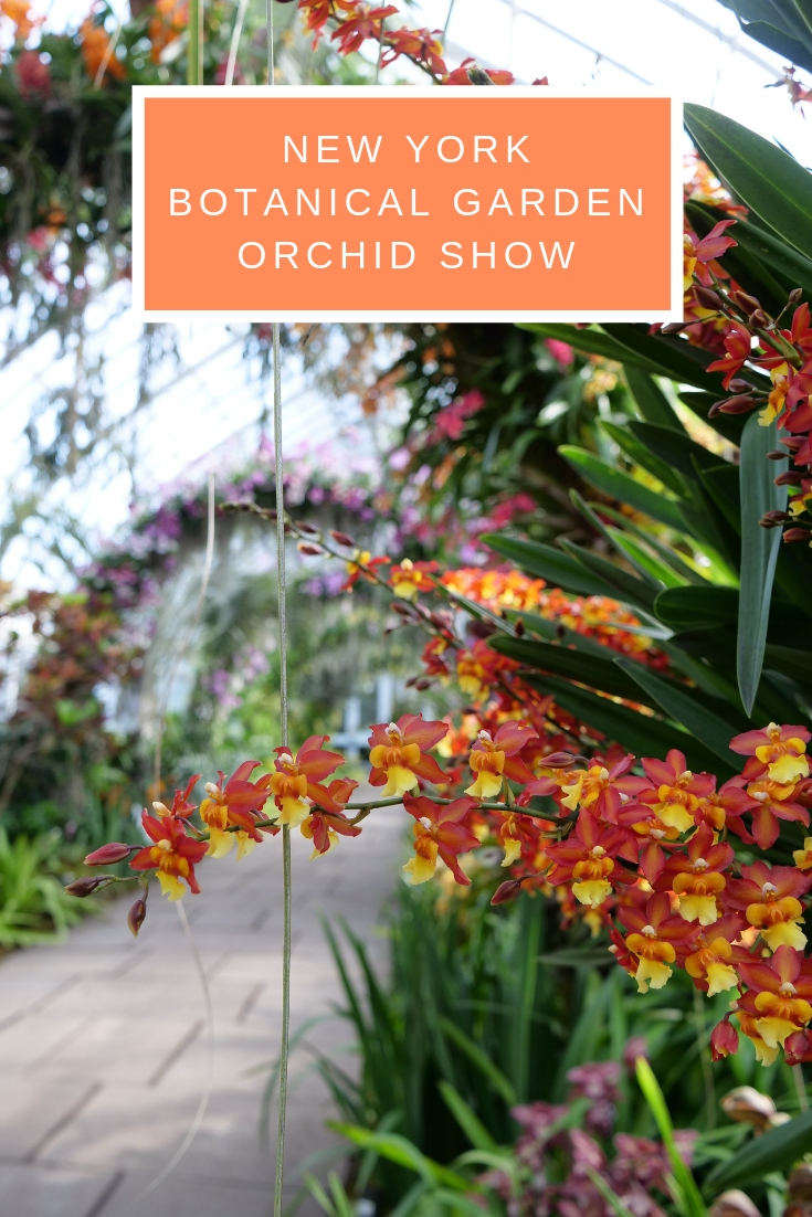 New York Botanical Garden Orchid Show